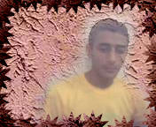 arbi