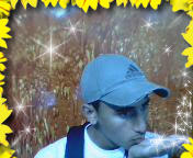 smori
